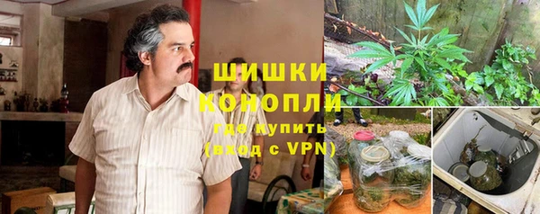 гашик Белоозёрский