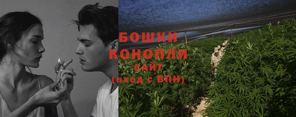 гидра Богданович