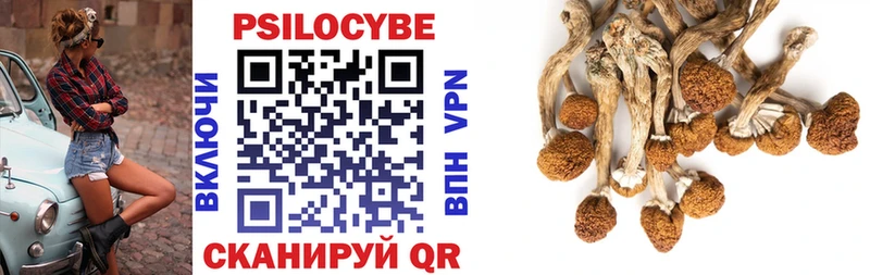 Галлюциногенные грибы Cubensis  Гулькевичи 